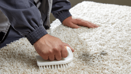 Professional Rug Cleaning Glenmore